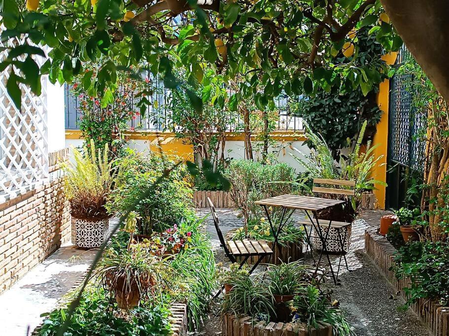 Casa Limonero Con Parking Gratis Junto A Centro Historico Granada Exterior foto