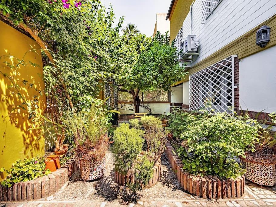 Casa Limonero Con Parking Gratis Junto A Centro Historico Granada Exterior foto