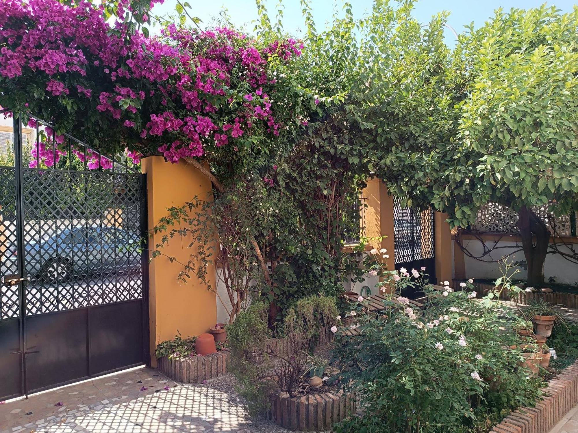 Casa Limonero Con Parking Gratis Junto A Centro Historico Granada Exterior foto